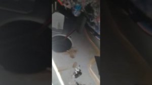 Дует в дверь Лада гранта