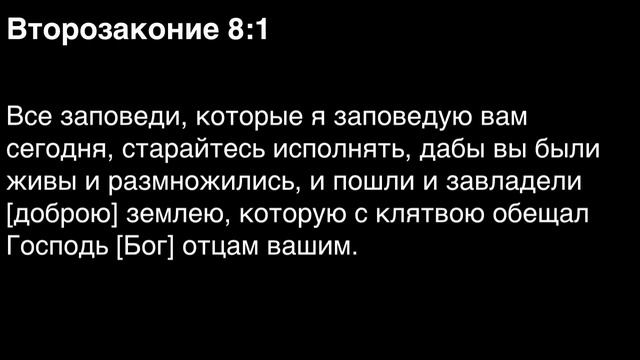 День 48. Библия за год. С митрополитом Иларионом. Библейский ультрамарафон портала «Иисус»