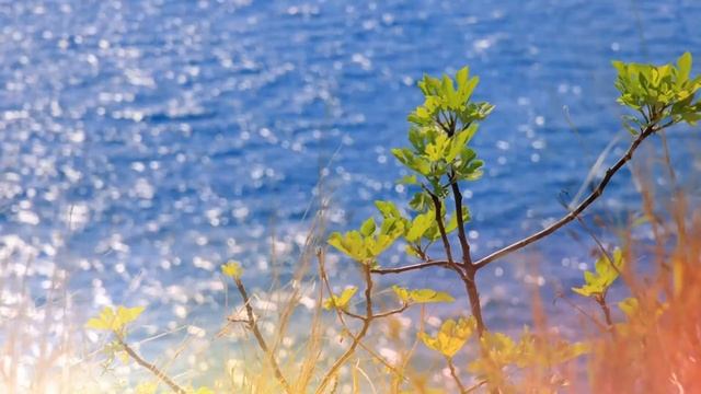 "Колыбельная Земли" - (звучание от 03.03.2022) смотреть онлайн