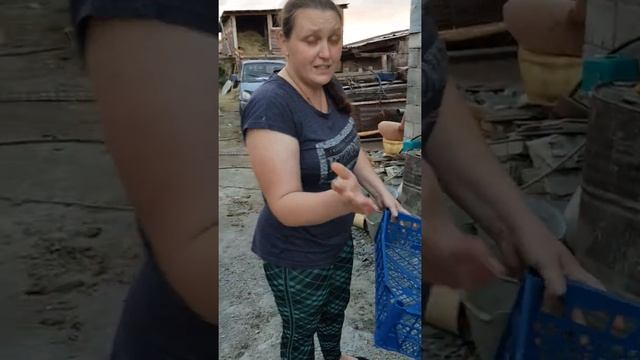 лайв хак: как без труда отмыть овощи от грязи. 2 сентября 2020 г. смотреть онлайн