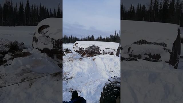 Бульдозер KOMATSU D65 P12 в работе смотреть онлайн