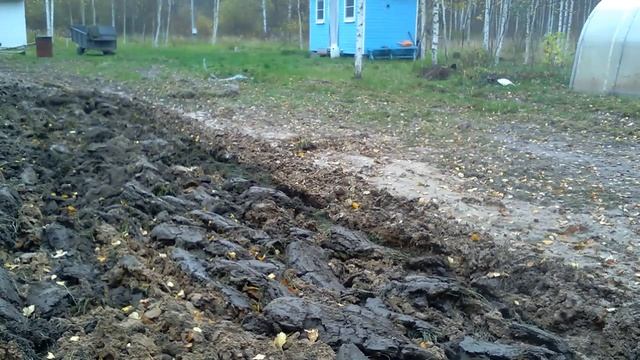 тяжёлая вспашка целины по принципу тяни толкай ,так тоже бывает!!!!