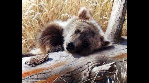 "Медведко" - Д.Н. Мамин-Сибиряк.