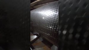 Калибратор кедрового ореха 7 фракций