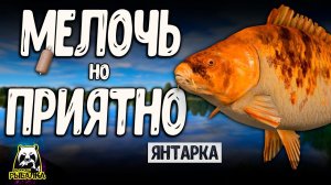 RF4 КЛЮЕТ ПРОСТЕНЬКО МЕЛКОЕ НО С ПОЛЬЗОЙ #рр4