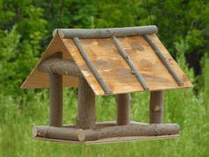 Как сделать кормушку для птиц