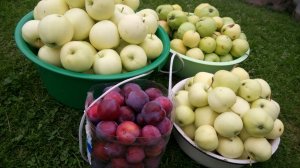 Лето - Осень 2023 - Водочку пьём