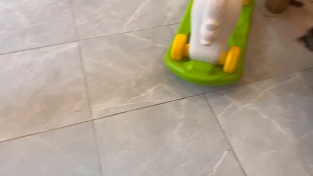 Кафе с Енотами в Москве. Весело провели время смотреть онлайн