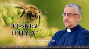 "Божья пчела" Сергей  Мельников | 29.05.2022