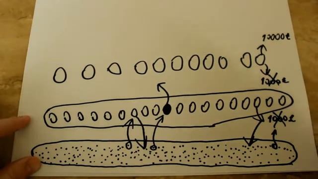 Для начинающих инвесторов. Просто о сложном от группы компаний "ИПМ-Консалт". смотреть онлайн