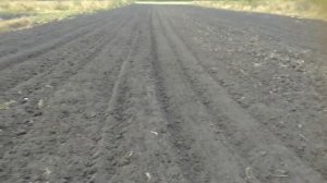 подготовка земли под чеснок