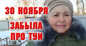 30 ноября. Влог. Ой, а про тую я забыла