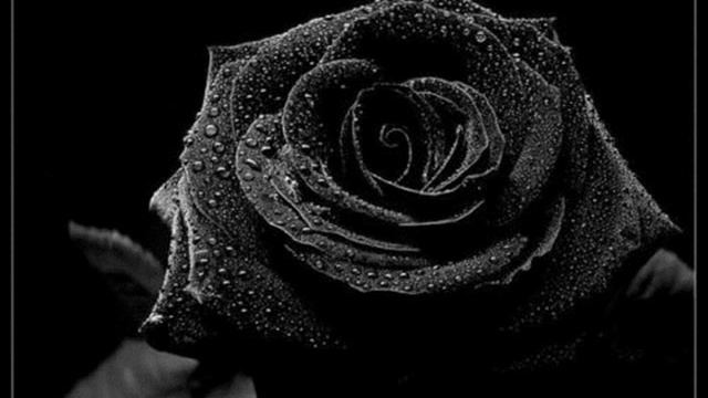 Jhamal - Неадекватные люди смотреть онлайн