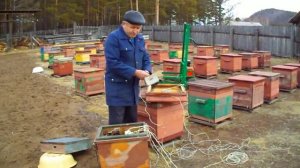 Электроподогрев ульев. Electrically heated hives