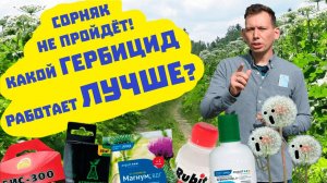 Большая проверка гербицидов и средств от сорняков