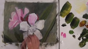 Como pintar la flor de la adelfa