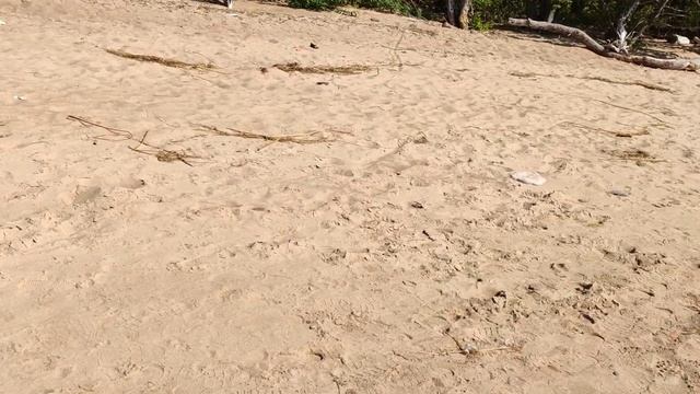 Форт "Шанец" ,попытка проникновения в Форт "Риф" смотреть онлайн