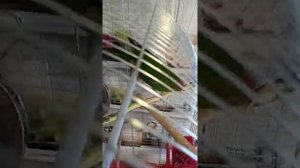 Говорящий Попугай Какарик Яша в Клетке.