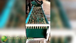 Сортировка картофеля, калибровка овощей и фруктов Vega Sorting 2000
