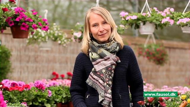 HORNUM Næring - Omsorg for vækst og trivsel. Mvh Fausol смотреть онлайн