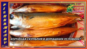 Скумбрия холодного копчения, от А до Я, от засолки до копчения дома. #14