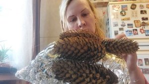 Ежик из шишек Поделка в сад