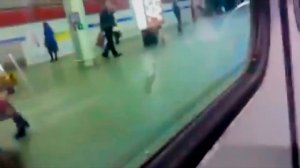 Поездка от Станции Метро "Горьковская" до Станции "Проспект Просвещения". 2 линия (МПЛ).