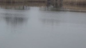 пруд Болтушка Белгород где находится