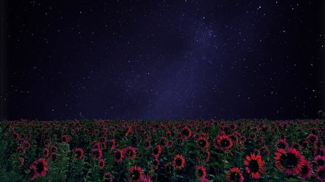 Шум ветра - Присядь смотреть онлайн