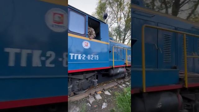 Тепловоз ТГК-2-8215 следует резервом. смотреть онлайн