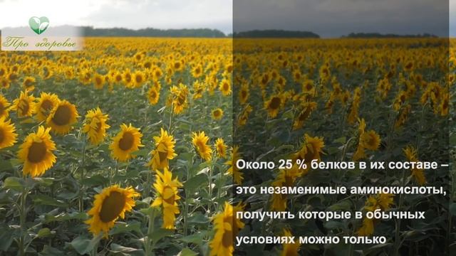 Раз и навсегда запомни! Вот что Семечки сделают с тобой, если их есть такими