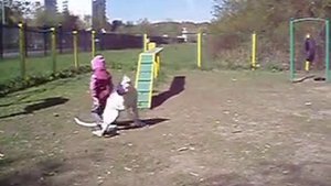 Аргентинский дог и дети. Выполнение команд