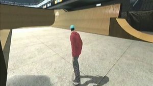 How to turn on Hall Of Meat mode on Skate 3