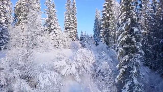 Впечатление и новизна или почему люди скучают ??? смотреть онлайн