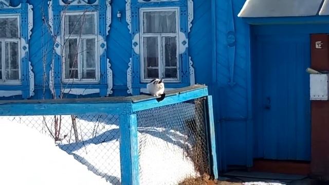 Саша приехал в деревню. Весна 2019 смотреть онлайн