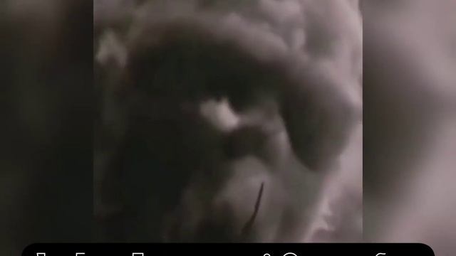 Pov 5?~Злодейка~?Драко/Гарри/Гермиона/Рон фанфик смотреть онлайн