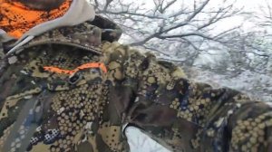 ДУПЛЕТ С КУРКОВКИ. Охота на фазана в горах по первому снегу! Охота с ТОЗ 63. Охота с дратхаарами