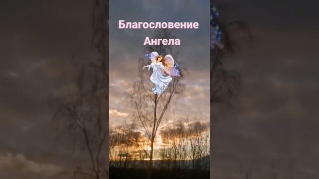 Тебе попалось это видео | Благословение Ангела для тебя  #медитация #lovenotes #таро