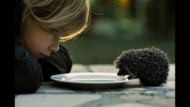 Жизнь бумеранг...Ирина Самарина-Лабаринт смотреть онлайн