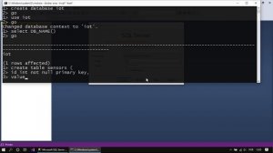 Execute o SQL Server no Docker