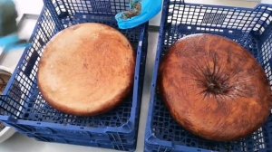 Аффинаж сыра Драй Джек