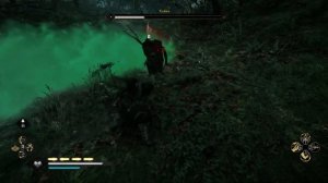 Ревнитель - Хайки | Assassin's Creed Valhalla