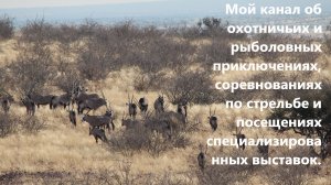 Ролик для новых зрителей моего канала об охоте, рыбалке, стрелковом спорте и путешествиях!