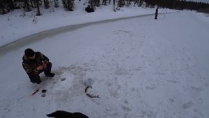 Экстремальная рыбалка на хариуса в дикой тайге. Последний лёд. Таёжное путешествие.