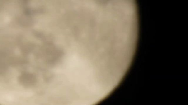 Лунный лай. Возможности цифрового зума. Камера NIKON COOLPIX B700. смотреть онлайн