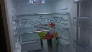 Холодильник LG GA B489ZGKZ