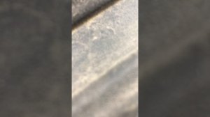 Запуск двигателя 1,2 TSI VAG , цепь грм , сомнения менять или нет
