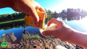 ПОЧЕМУ Я РАНЬШЕ ЕЕ НЕ ДОБАВЛЯЛ РЫБАЛКА С НОЧЕВКОЙ НА РЕКЕ.