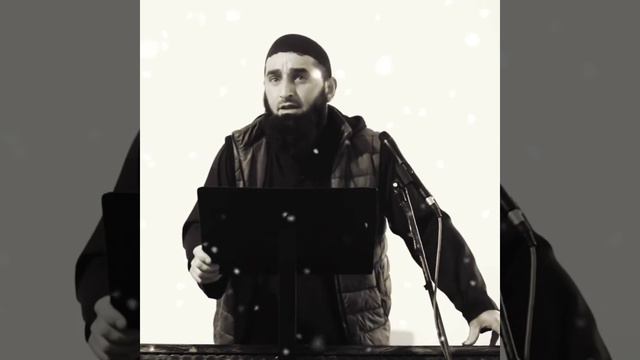 Sheix Ali pankisi смотреть онлайн