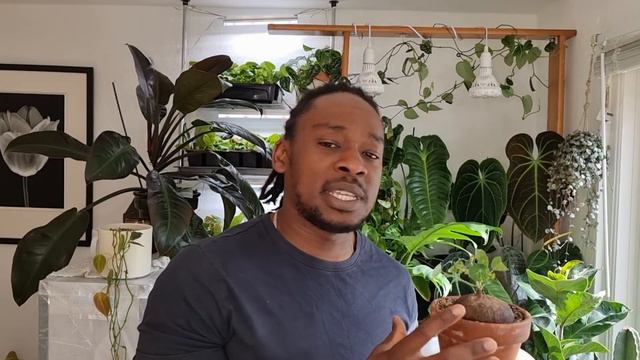 Top Plants in May! смотреть онлайн